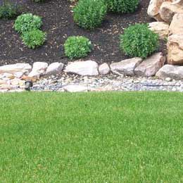 Synthetic Grass Installation